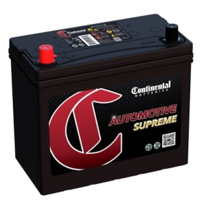 51CS Group 51 12V Battery