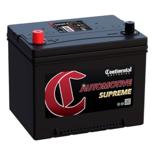49CS Group 49 12V Battery