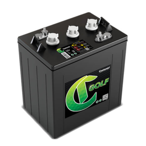 6V Golf Battery
