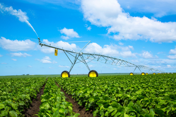 T-L center pivot irrigating a field