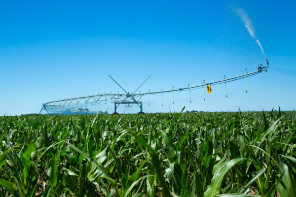 T-L corner pivot system in a field