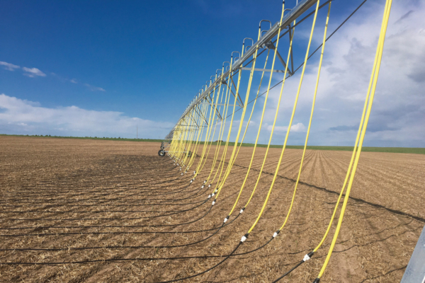 PMDI drip hoses dragged behind a T-L system